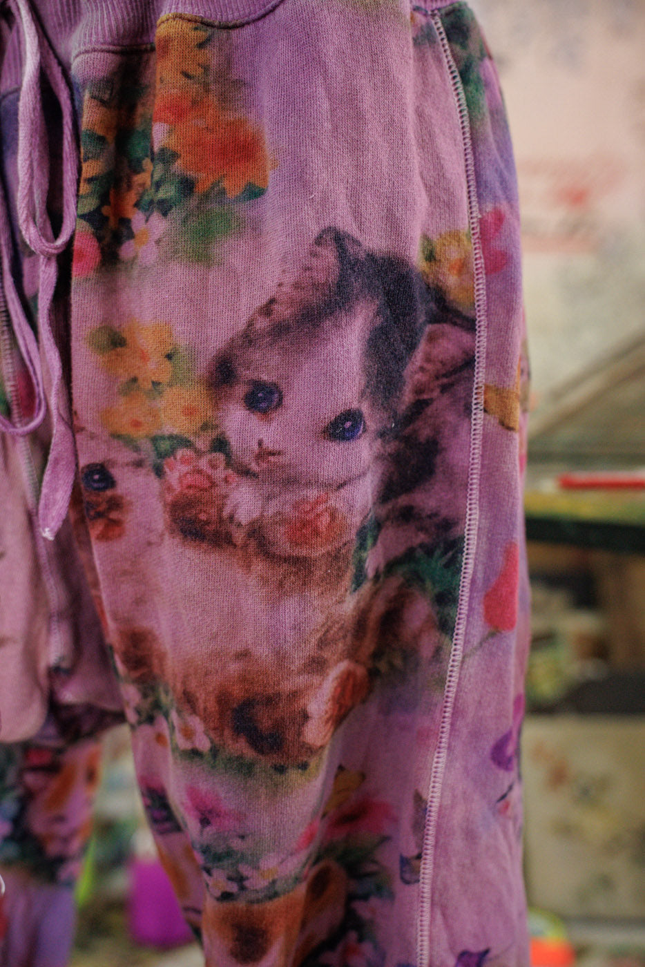 Китиеланд Ла Хоя Джогъри 