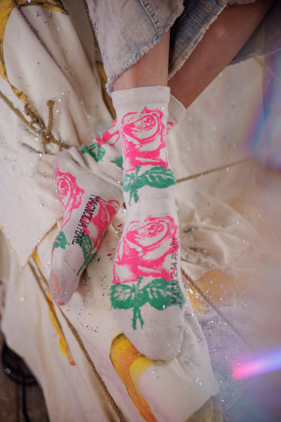 Rosa MP Sokker Dragonfruit 