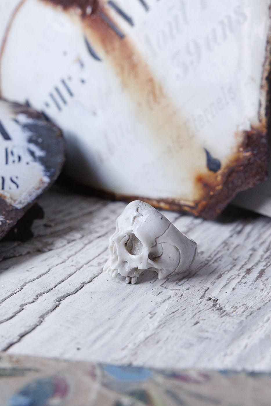 Beloved Antler Skull Ring